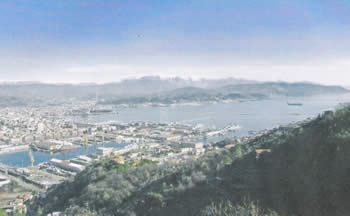 Description: Phoebe's Ships Company